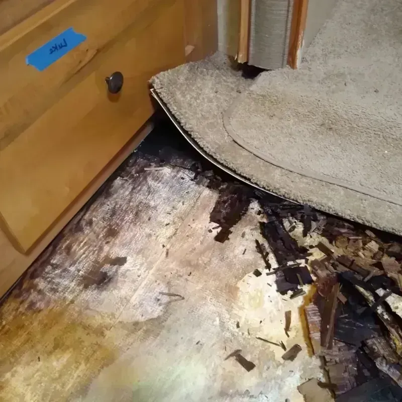 Wood Floor Water Damage in Tuba City, AZ